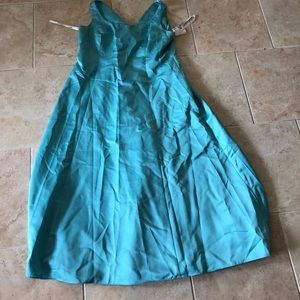 David Bridal Bridesmaids Dresses (Two Available)